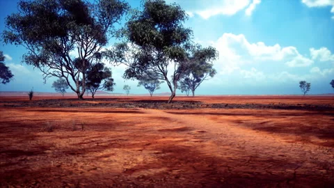 Scenic dry terrain featuring isolated trees and striking cloud formations Stock Footage 341821938