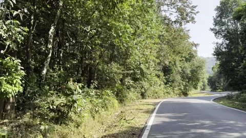 Scenic empty road in India with greenery and bends Stock Footage 273206721