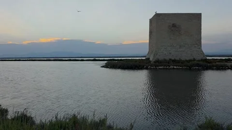 Scenic evening timelapse of Torre de Tamarit tower with seagulls at Salinas  스톡 동영상 337958072