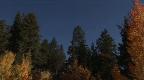 Scenic fall 906 13 Vídeo Stock 379410