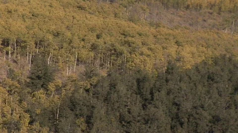 Scenic fall 906 14 Vídeo Stock 379411