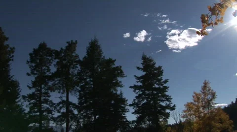 Scenic fall 906 16 Vídeos de archivo 379413