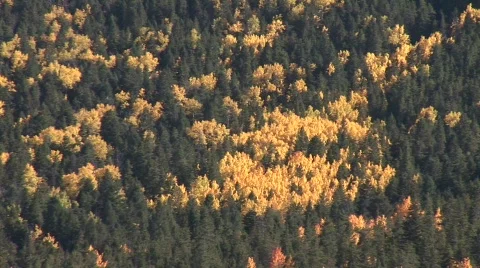 Scenic fall 906 20 動画素材 379418