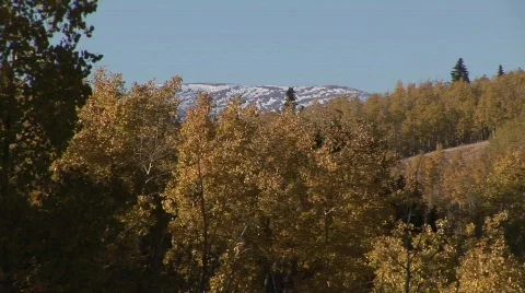 Scenic fall 906 26 Vídeo Stock 379424
