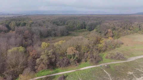 Scenic Fall Forest Landscape – Drone View Stock Footage 321121644