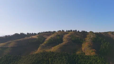 Scenic Fall Mountains and Forests – Cinematic Drone View Stock Footage 336964737