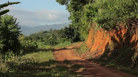 Scenic Field Path in Madagascar with Mountain Views and Natural Landscape Stock Footage 221131675