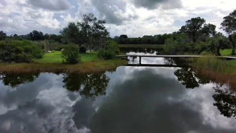 Scenic Florida Pond with Dramatic Cloud Reflections Stock Footage 345174103
