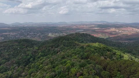 Scenic Forest Highway Through Mountain Terrain Stock Footage 329817615