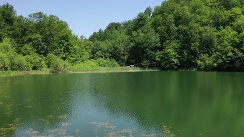 Scenic Forest Lake Surrounded by Trees Video stock 312758116