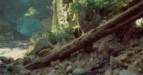 Scenic forest landscape with fallen tree and rocky ground in sunlight Stock Illustration