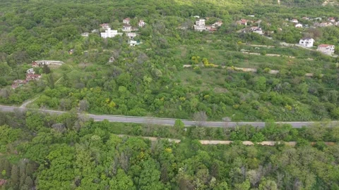Scenic Forest Landscape With Trees And Road From Drone Perspective Stockbeeldmateriaal 334919407