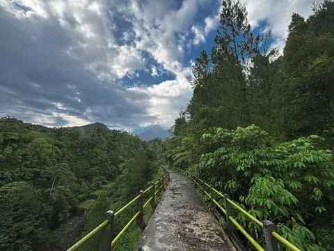 Scenic Forest Pathway with Dramatic Sky – Lush Green Landscape Trail Stock Photos