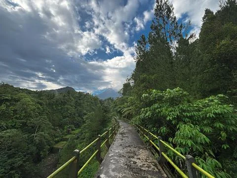 Scenic Forest Pathway with Dramatic Sky – Lush Green Landscape Trail Stock Photos