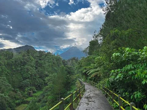 Scenic Forest Pathway with Dramatic Sky – Lush Green Landscape Trail Stock Photos