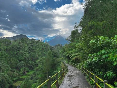 Scenic Forest Pathway with Dramatic Sky – Lush Green Landscape Trail Stock Photos