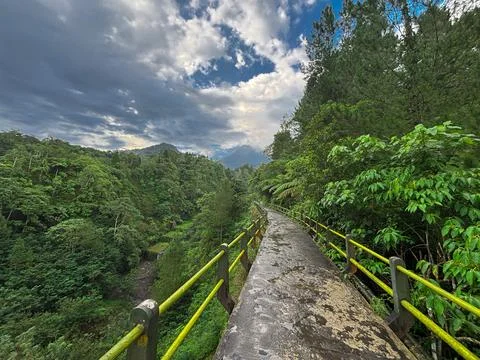 Scenic Forest Pathway with Dramatic Sky – Lush Green Landscape Trail Stock Photos