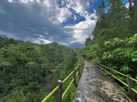 Scenic Forest Pathway with Dramatic Sky – Lush Green Landscape Trail Stock Photos