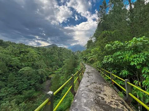 Scenic Forest Pathway with Dramatic Sky – Lush Green Landscape Trail Stock Photos