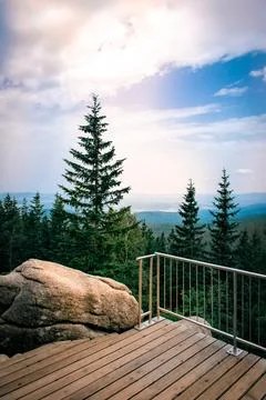 Scenic forest 스톡 사진