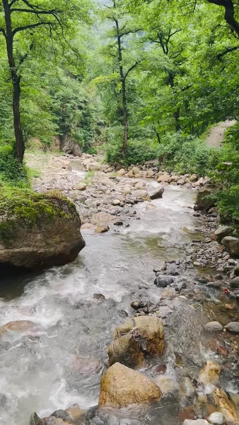 Scenic forest river with flowing water, panning shot from left to right Vídeos de archivo 336848988