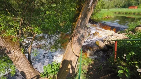 Scenic forest river waterfall rushing over rocks Stock Footage 322666804