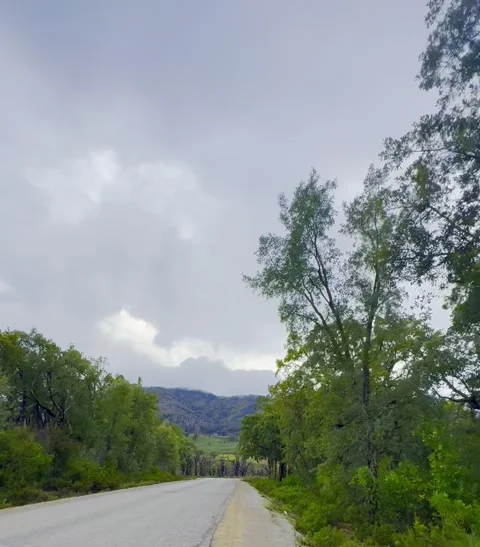Scenic forest road surrounded by mountains on the way to Chefchaouen Stock Footage 325767133
