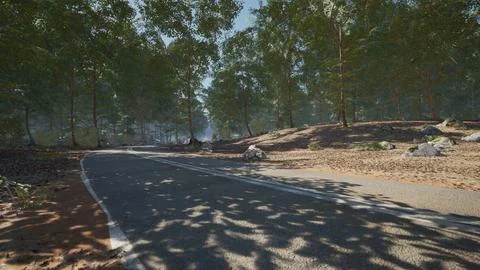 Scenic forest road surrounded by trees and sunlight during daytime stroll Stock Illustration