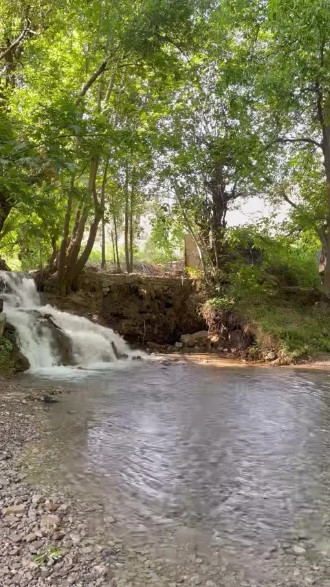 Scenic Forest Stream and Waterfall with Dirt Road Stock Footage 340871676