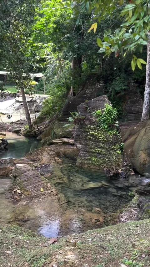 Scenic Forest Stream Flowing into a Natural Pool Video stock 341318237