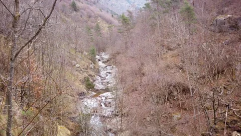 Scenic Forest Stream Leading Into Mountain Landscape Vídeos de archivo 332136839