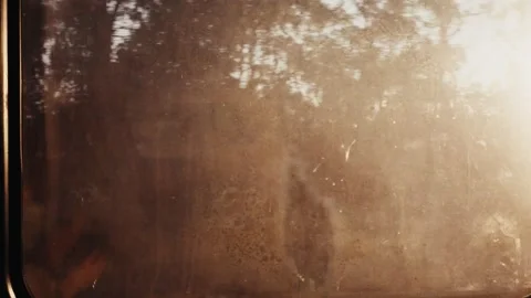 Scenic forest view from a moving train window Video stock 343768045