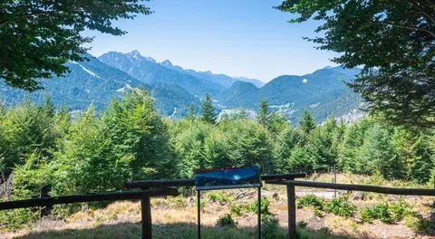Scenic forest viewpoint platform overlooking lush green and majestic mountains Stock Photos