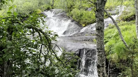 Scenic forest waterfall in scandinavia Stockbeeldmateriaal 342077091