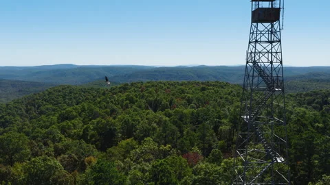 Scenic Forests And Devil's Knob Fire Tower, Ozark National Forest In Arkansas Stock Footage 328071430
