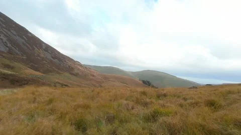 Scenic forward flight over a mountain valley meadow Stock Footage 327332930