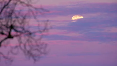 Scenic full moon hidden behind thin clouds in vibrant pink and purple twilight 스톡 동영상 336034974