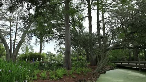 Scenic Garden Stock Footage 11877036