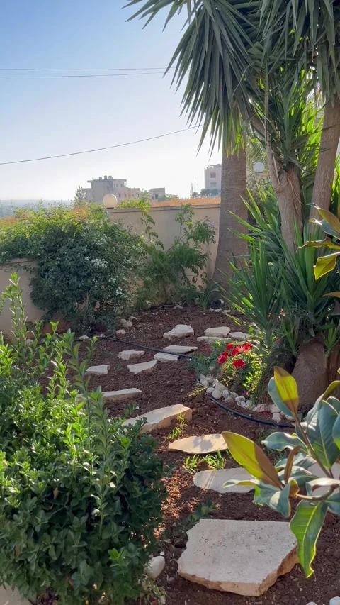 Scenic Garden Path with Palms and Greenery Stock Footage 345304570