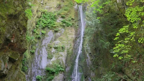 Scenic Goldstream Falls waterfall cascading down steep mossy canyon rock wall Stock Footage 341912353