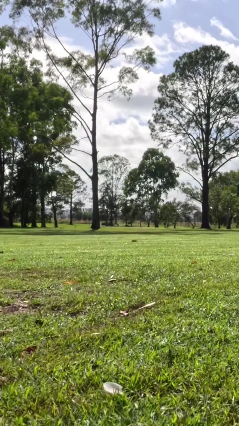 Scenic Golf Course Over Time Vídeos de archivo 305535513