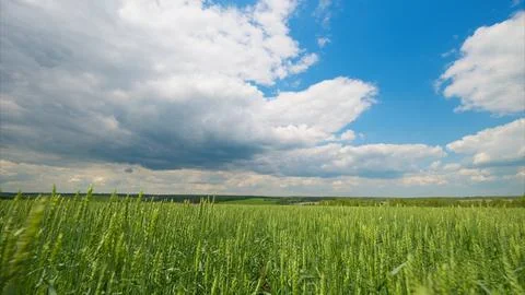 Scenic Green Fields Under Dramatic Clouds Perfectly Illustrate the Beauty of Nat Stock Photos