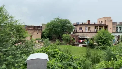 Scenic Green Forest Viewed Through Moving Train Window Stock Footage 344116590