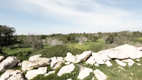 Scenic green landscape with rocky formations and clear blue sky Stock Footage 302351663