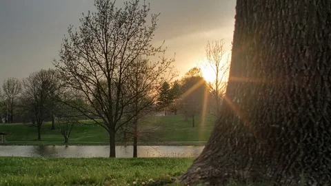 Scenic HDR time lapse of sunset at park with lake and trees, Stock Footage