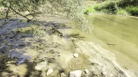 A scenic high-angle shot of a calm riverbank Stock Footage 344142700