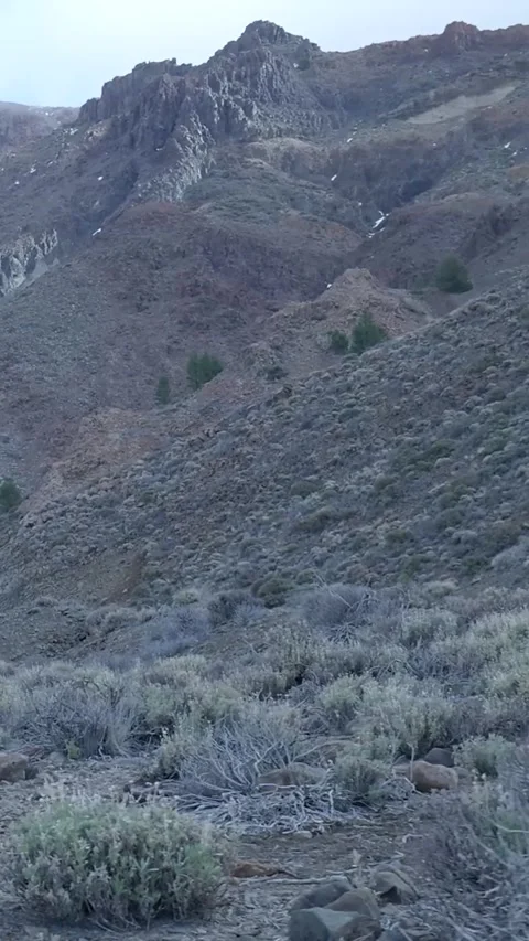 Scenic high desert drive through rocky mountain scrubland Stock Footage 329864786