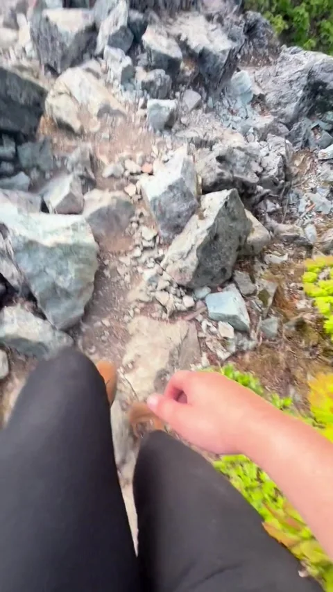 Scenic Hike Stock Footage 305808434