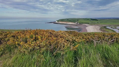 Scenic hilltop path overlooking ocean and coastal cliffs under clear summer sky Stock Footage 309767878