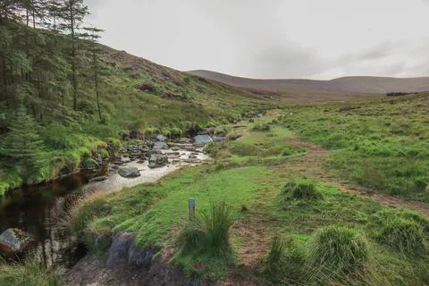 Scenic hilly view of a river, trees, mountains, Ireland green field Stock Photos